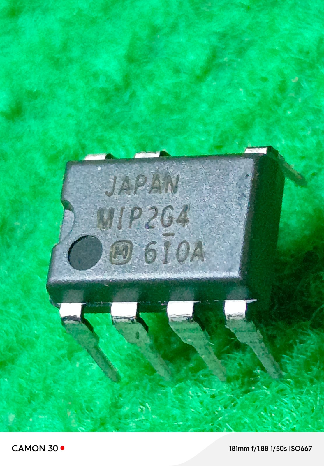 MIP2G4