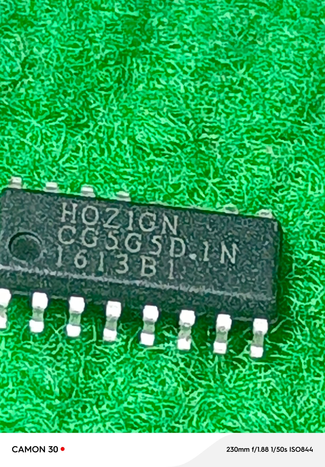 HOZIGN