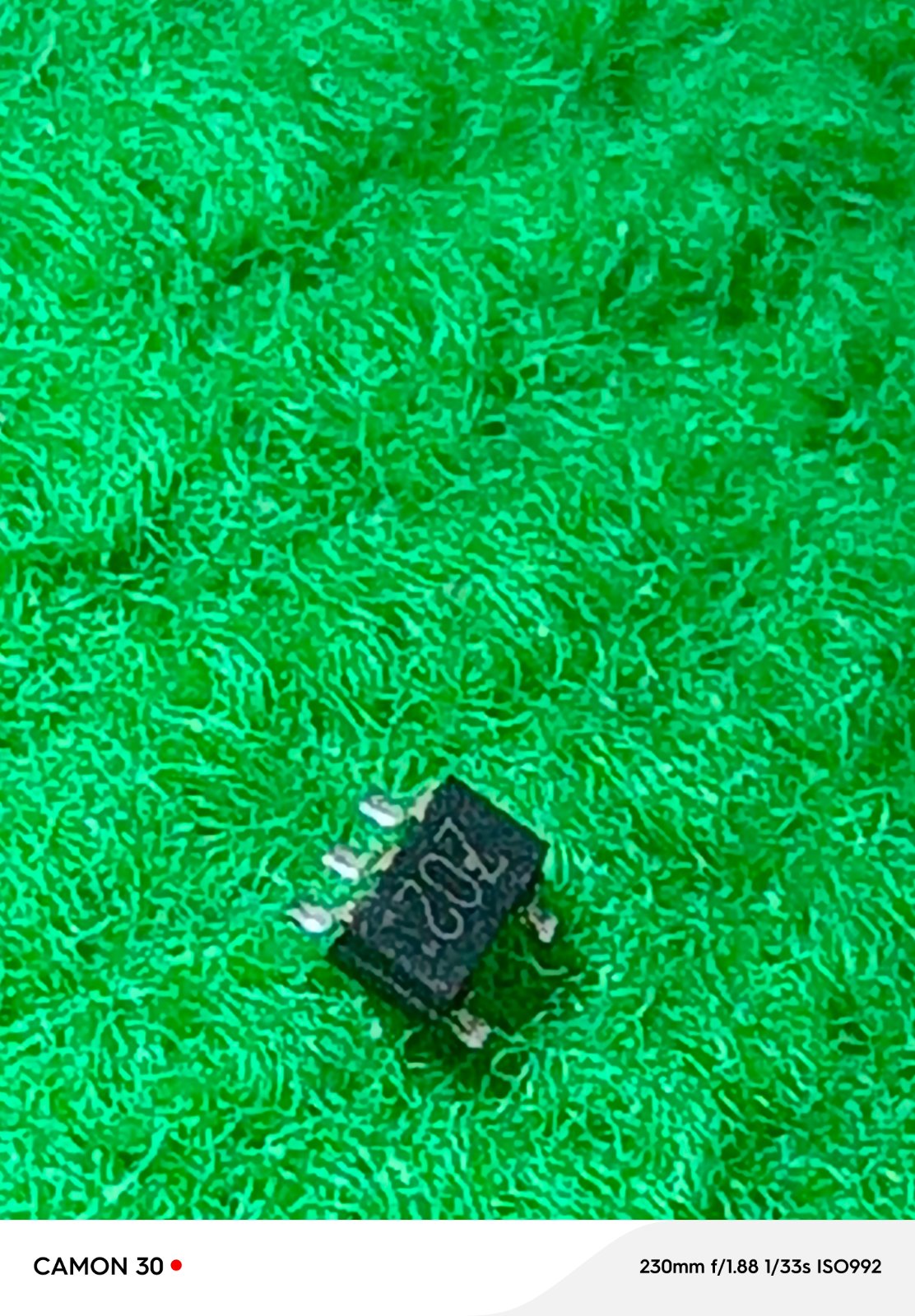 Z02 (QSZ2TR)