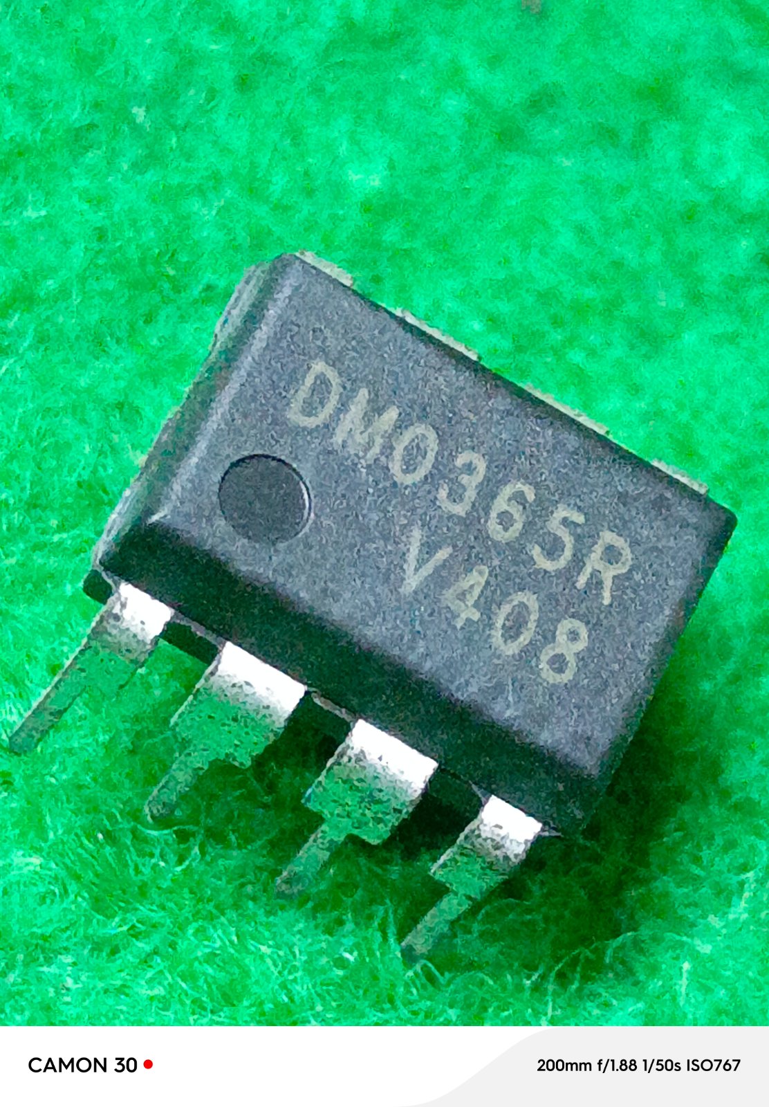 DM0365R DMO365R