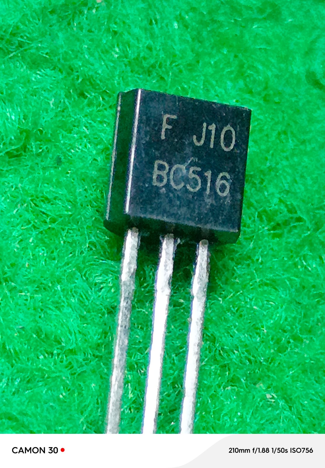 BC516