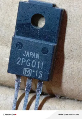 2PG011