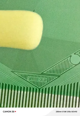 SW98100G-CKLBR