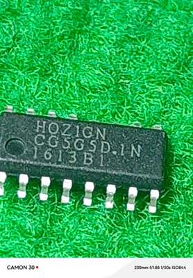 HOZIGN