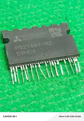 PS21661-RZ